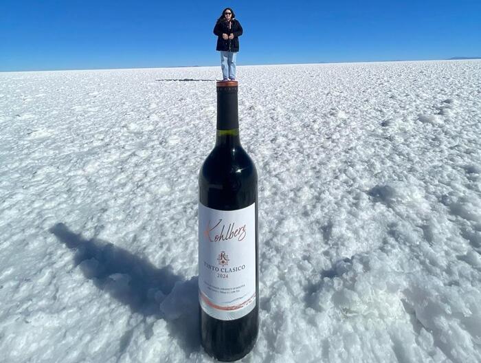 Salar de Uyuni - TOUR DE 1 DÍA